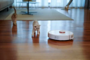 A cat and a robot walking on a hardwood floor, showcasing the versatility of robot vacuum cleaners.